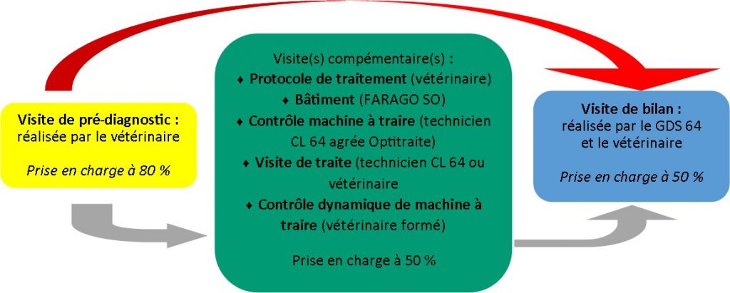 Mammites et Cellules