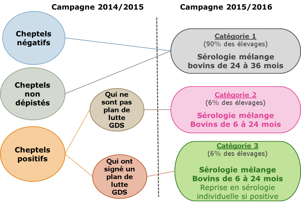 BVD quel dépistage BVD Allaitant pour 2015/2016 ?