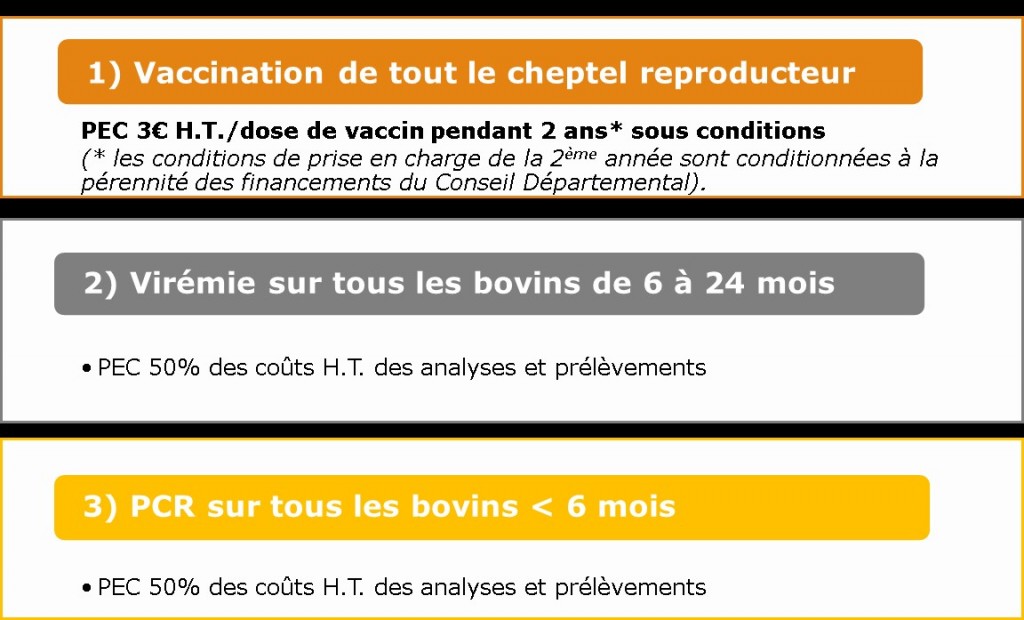 BVD Plan de lutte "Protocole Vaccinal"