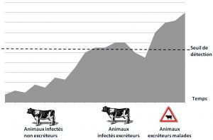 Paratuberculose Anixmaux Excreteurs