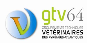 Logo GTV 64
