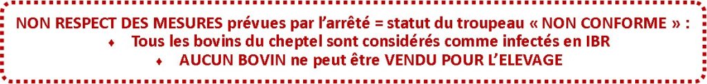 IBR Non Respect des Mesures