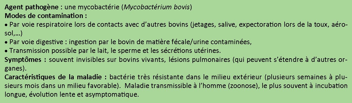 Caractéristiques de la Tuberculose